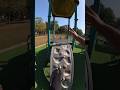 Bella ciao playground parkour pov 😍🥰😜