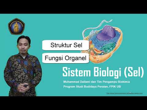 Biokimia: Sistem Biologi (Struktur dan Fungsi Sel)