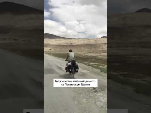 Таджикистан: необычна встреча на Памирском тракте