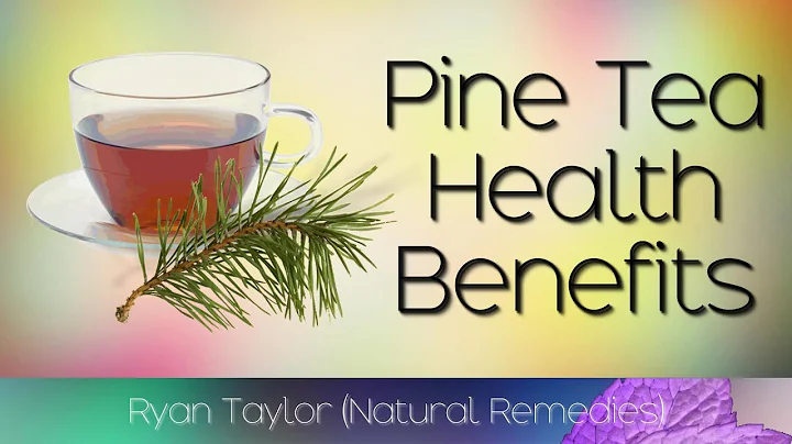 Pine Needle Tea: Benefits and Recipe