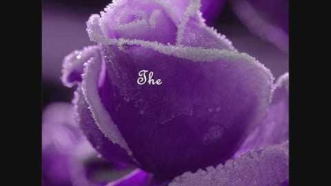 You Belong With Me- Chapter 46(Season Two)