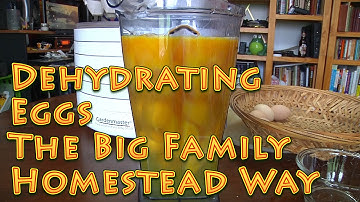 Dehydrating Eggs The Big Family Homestead Way