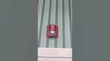 System Sensor SpectrAlert Classic Remote Strobe