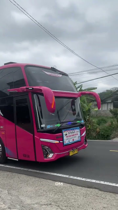 basuri yalal waton emang ga pernah bikin bosen ya guys😍 #busmania #fypシ゚viral #basuri #msm