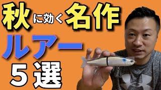 【秋のシーバスルアー】早く１匹へ！最速釣果のルアー５選！
