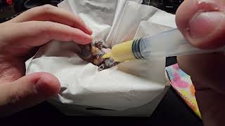 Day 9 - Hand feeding baby zebra finches  &  cleaning out my 'brooder' box.