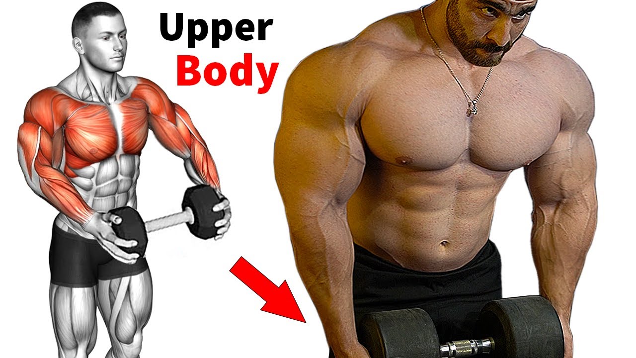 10 Best Effective Exercises To Build A Perfect Chest 