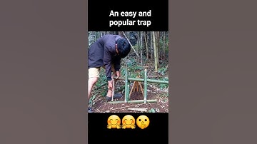 creative amazing bamboo trap to catch rat 😁😄 [ find food in the forest ]