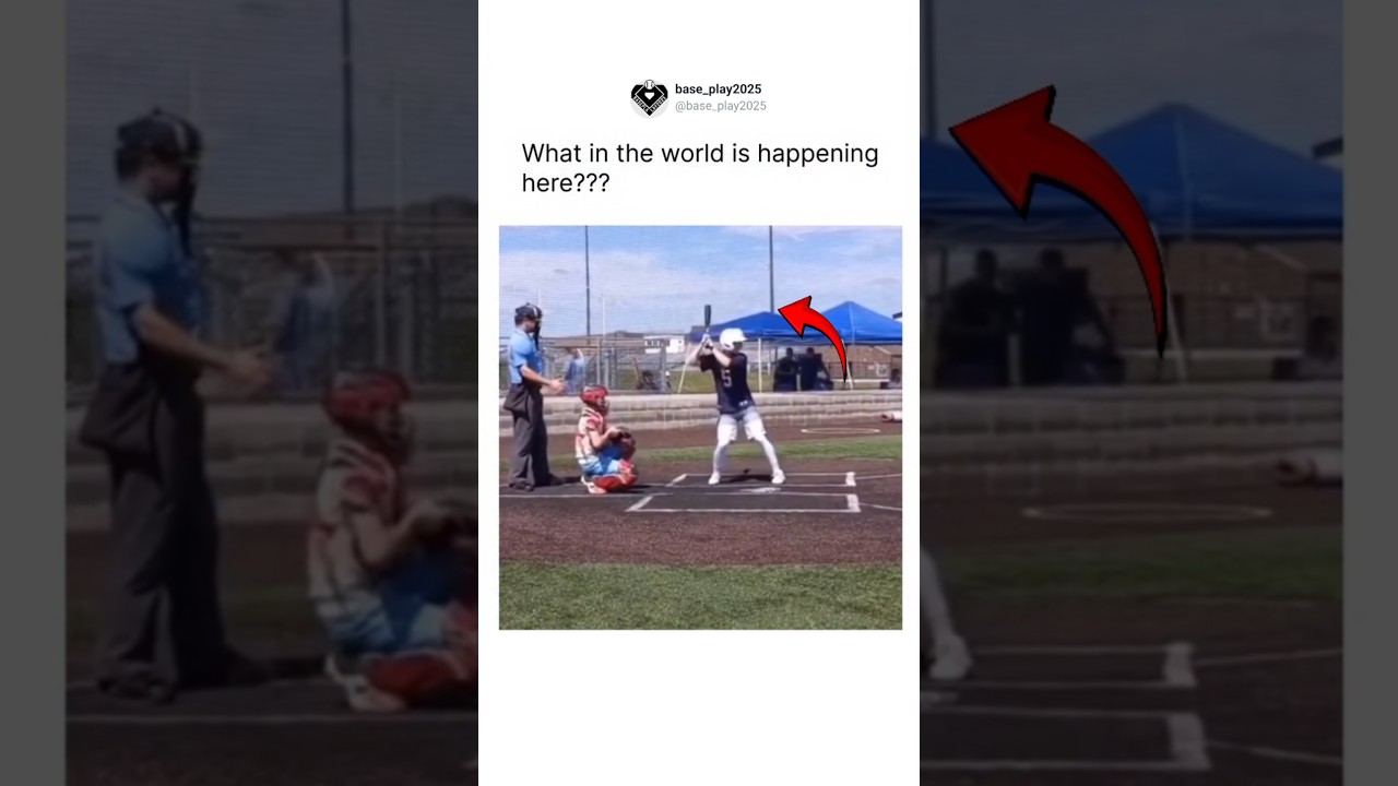 what in the world is happening here 😂 #baseball #usa