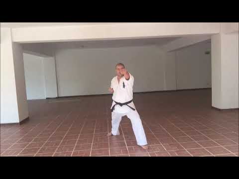 Kihon Zenkutsu dachi