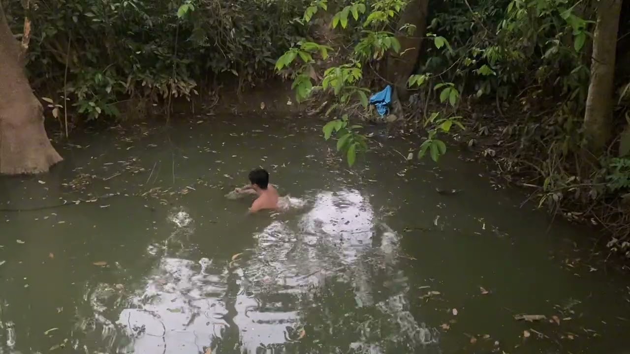 Cũng được 1 bữa cơm