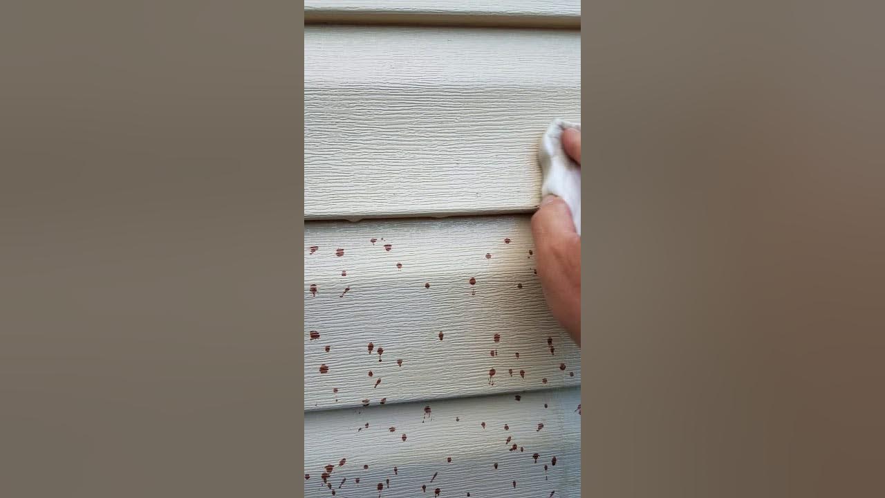 Awesome tip for removing Thompson's Water Seal from vinyl siding. 100 Eucalyptus oil, magic