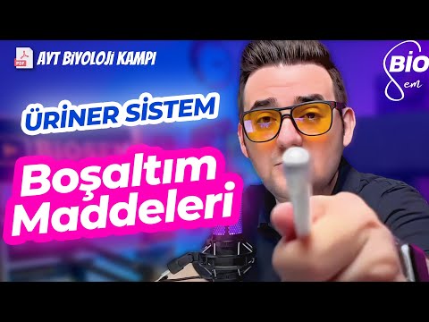 Boşaltım (Üriner) Sistemi-3 Konu Anlatımı | Ayt Biyoloji Konu Anlatımı 11. Sınıf | 2024