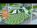 Many watermelons flow into the waterslide | Sakura School Simulator