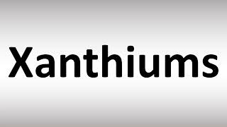 How to Pronounce Xanthiums