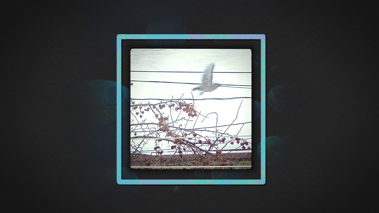 After the End [Music Video]