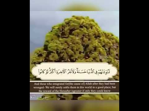 تلاوة تهز القلب للقارئ خالد الجليل إنما قولنا لشيء إذا أردناه أن نقول له كن فيكون