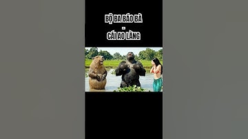 Capybara và kingkong cùng chị đi bắt cá ở AO LÀNG #capybara #bobabaoba #giaitri #phimngan