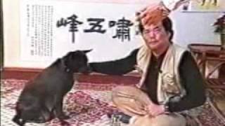 台灣犬算術