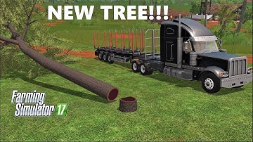 Farming Simulator 17 | NEW TREE!! Cutting & Auto Loading & Selling