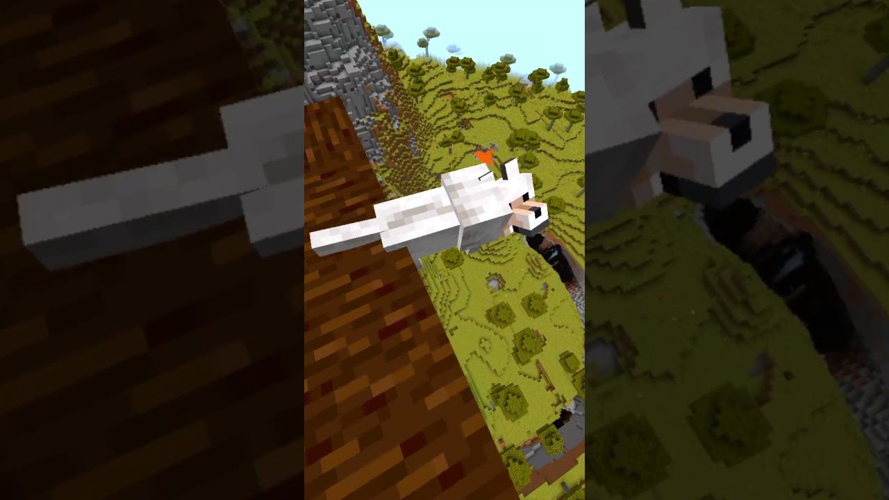 HOW TO NOT ABUSE YOUR DOG IN MINECRAFT!!!!