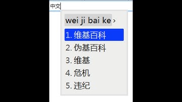 Chinese input methods for computers