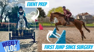 Snip's First Jump Since Surgery!! Weekly Vlog