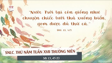 Suy niệm Lời Chúa | Thứ Năm tuần XVII Thường Niên | Mt 13,47-53 | Lm Ant. Nguyễn Cao Siêu SJ