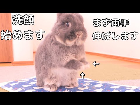 Mimi solemnly showed her pre-face-wash hand ritual — too cute 【No