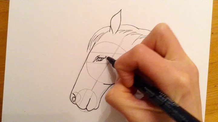 Beginner's Guide: Drawing a Horse's Head in Simple Steps