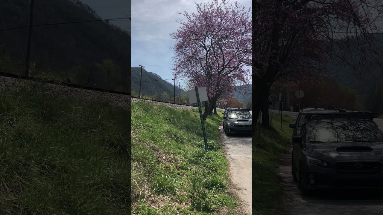 first norfolk southern catch in years but also the weirdest train catch ever.