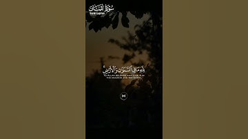 ما تيسر من #سورة_لقمان ||حالات واتس قرآن ||القارئ#محمد_صديق_المنشاوي #تلاوة_هادئة