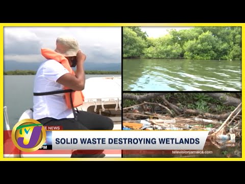 Solid Waste Destroying Wetlands | TVJ News - Nov 17 2021