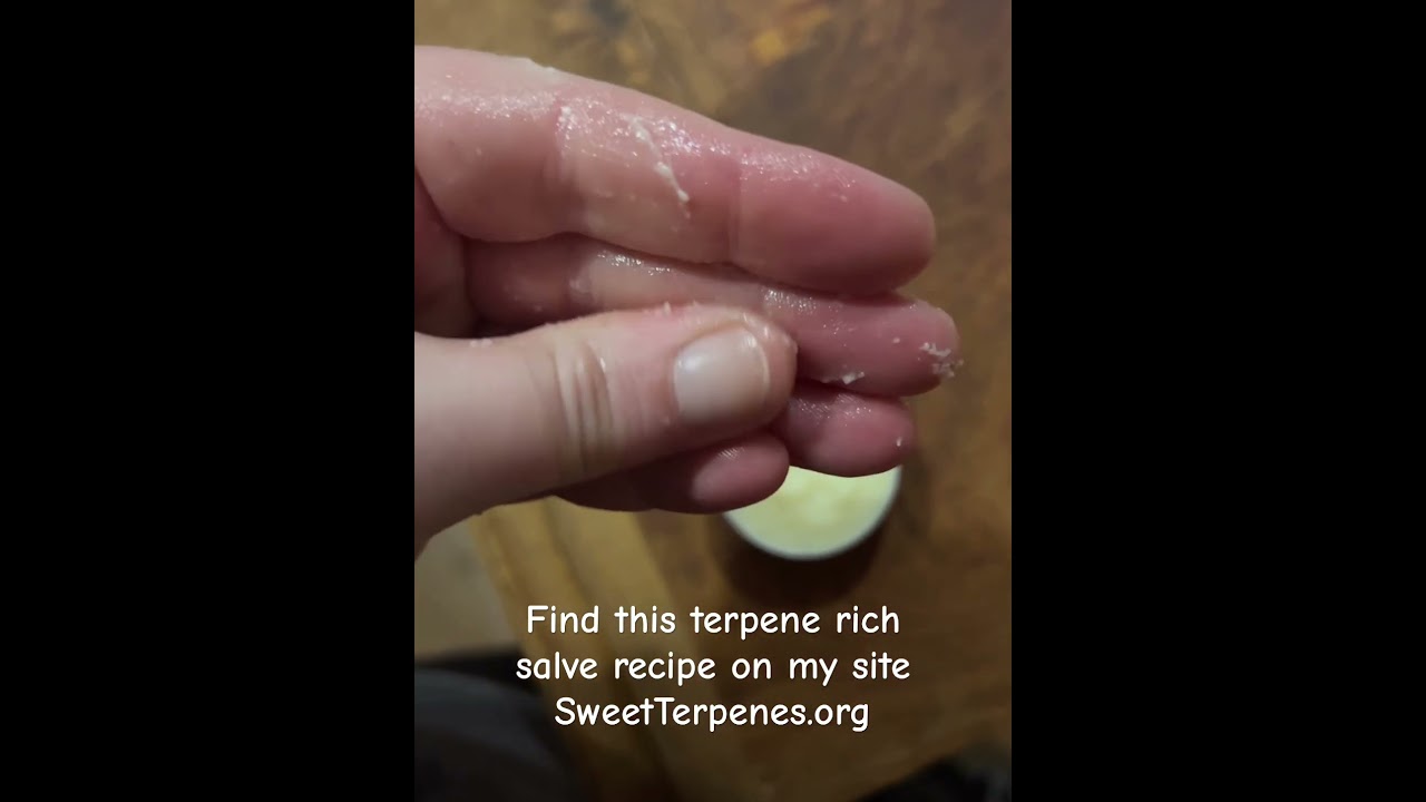 Two year old terpene rich salve- Still an amazing consistency. Recipe on my site SweetTerpenes.org