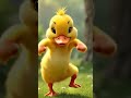 Duck Dance Duckdance Animaldance Petdance Cartoondance Dance 