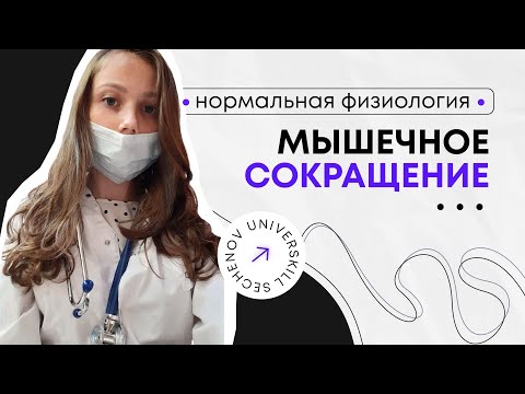 Нормальная физиология | Мышечное сокращение