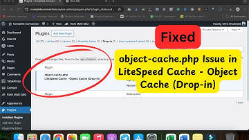How to Fix object-cache.php Issue in LiteSpeed Cache - Object Cache (Drop-in)