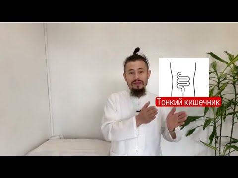 Тонкий кишечник/китайская медицина #акупунктура
