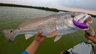 SpaceX Bull Redfish on Wakebait