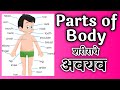 Parts of body  body parts  marathi   