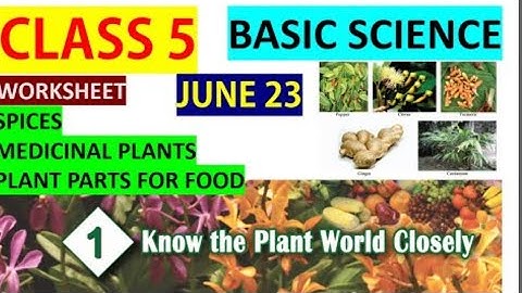 CLASS 5 BASIC SCIENCE/CHAPTER 1 /KNOW THE PLANT WORLD CLOSELY/eduteacherkerala/Kerala syllabus