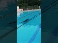 25m underwater swim, 🏊‍♂️ #youtubeshorts #shorts #shortsvideo #swimming #underwater #tejendergahlaut