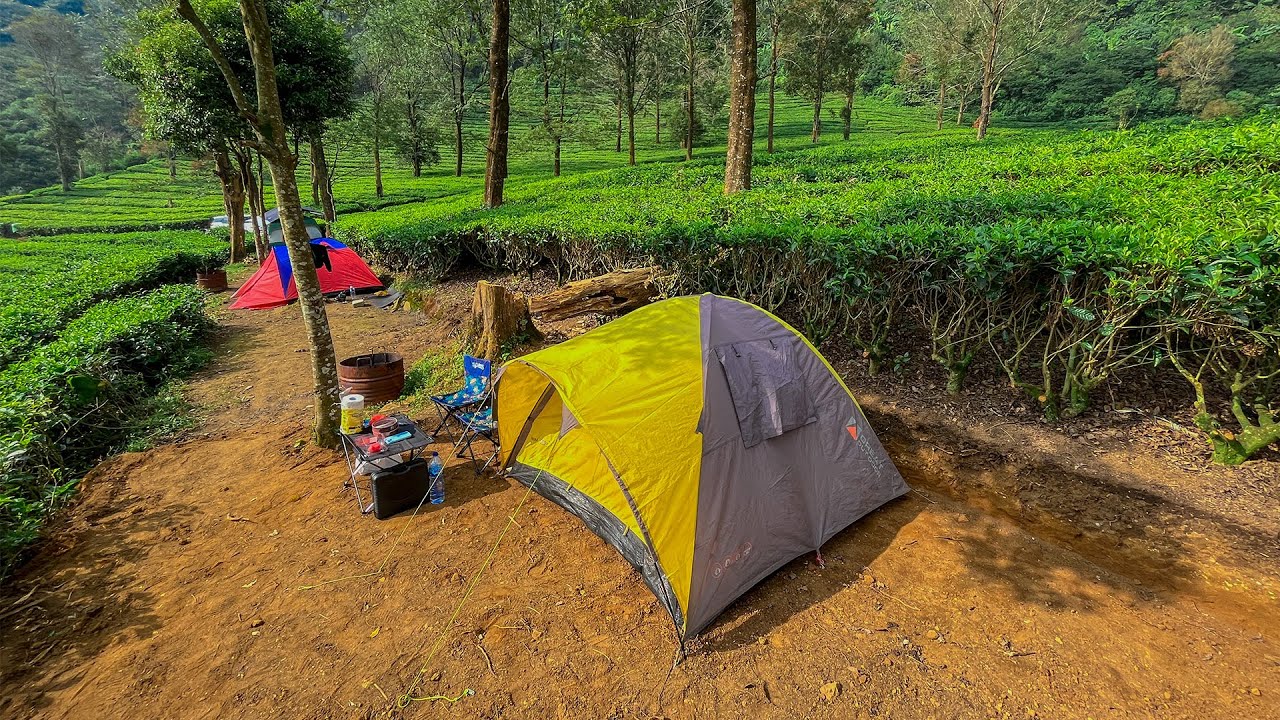 Liburan Seru di Pinus Eco Park Puncak | Camping Keluarga Disini