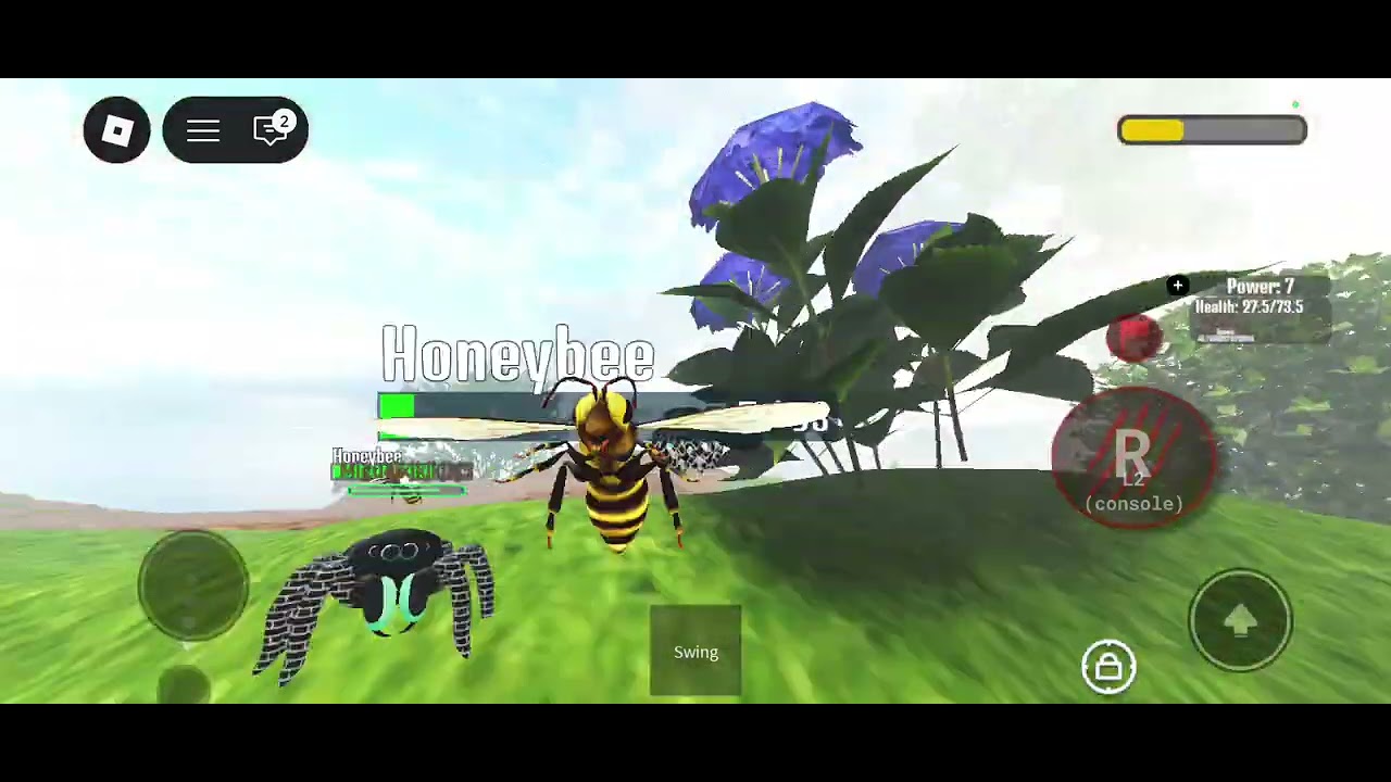 Spider Clan Play as Bold Jumping Spider (Jumping Spider Family)