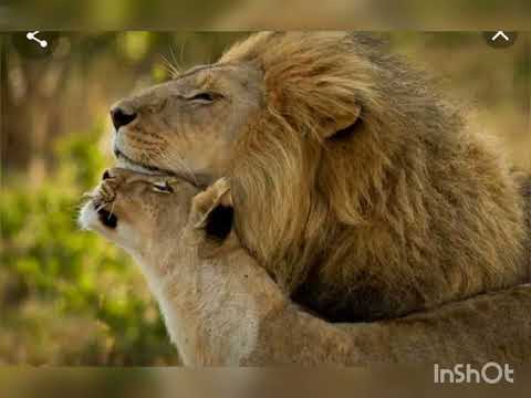 أجمل موسيقى تحفيزية روعة