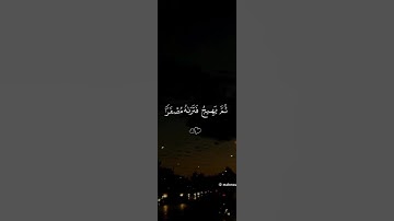 أحترم القرأن #تلاوة_هادئة #اكسبلور #المصحف #المسجد_الحرام #راحة_نفسية #الرحمن #لايك