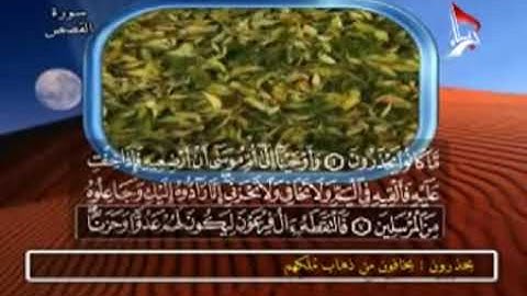 القرآن الكريم - الجزء ٢٠ - الحاج رافع العامري