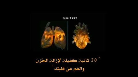 تلاوة القرآن الكريم #دعاء #حديث_شريف #حديث #foryoupag #dubai #dubaiاكسبلور #دبي #الامارات #uae