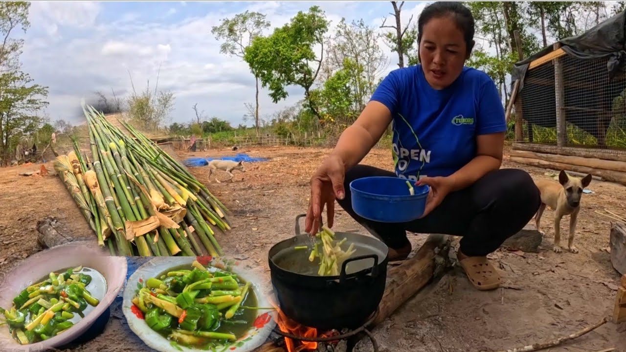 แม่น้ำหวานแกงหน่อไม้สูตรกินแซ่บๆมื้อนี้ 5 มีนาคม ค.ศ. 2026