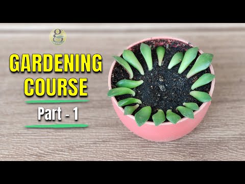 COMPLETE GARDENING COURSE